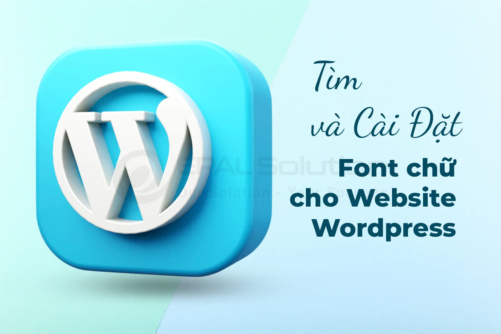 tim va cai dat font chu cho website wordpress