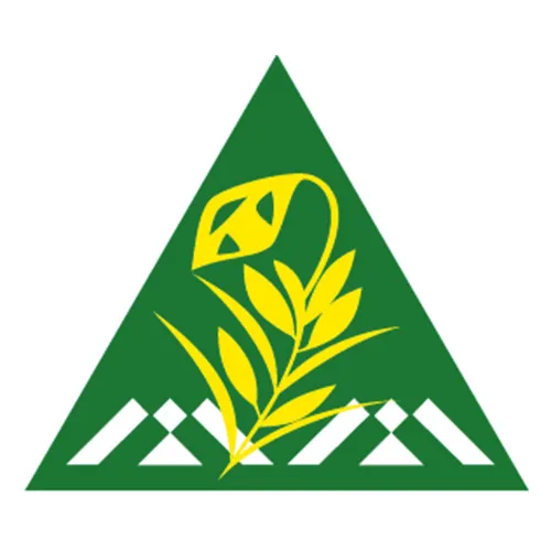 logo-custommer