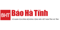 Logo Partner